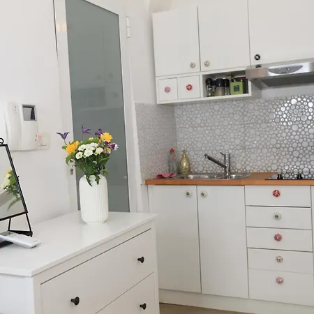 In The Heart Of Ljubljana